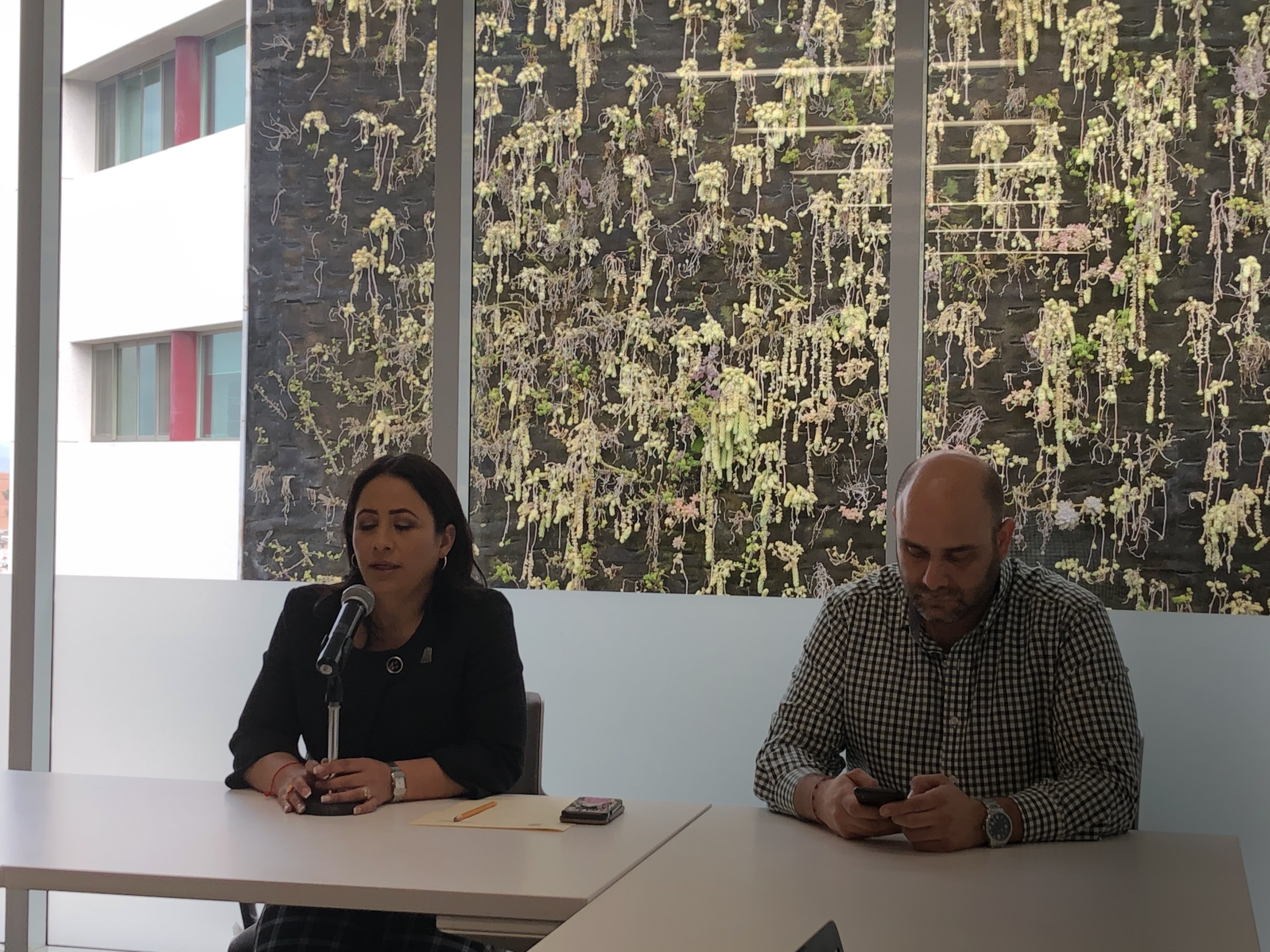  Tarifa preferencial y matrimonio igualitario serán abordados en la Legislatura