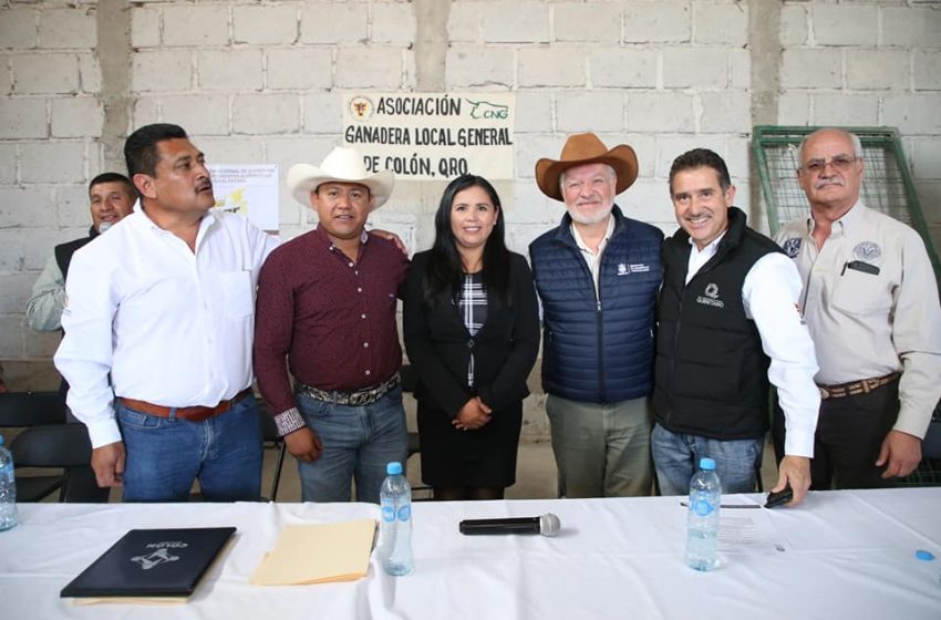  SEDEA coadyuvará al fortalecimiento del sector pecuario en Colón