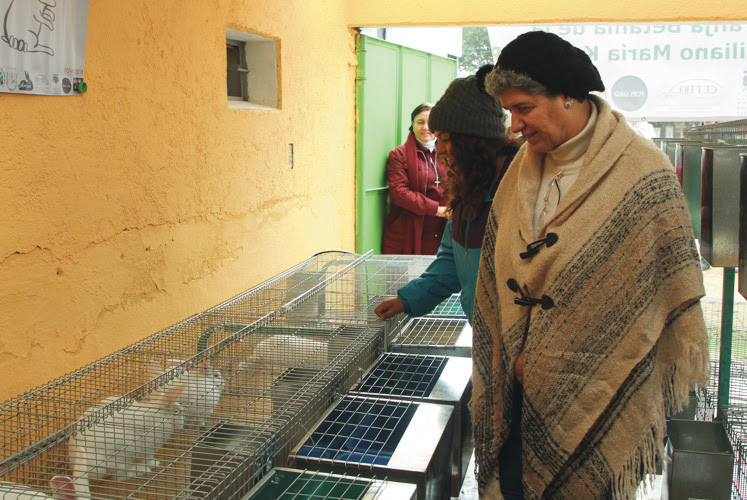  Inauguran estudiantes de la UAQ granja de conejos para la sustentabilidad de casa-hogar