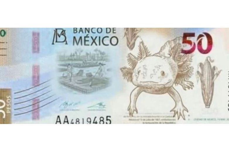  Banxico realizará cambios en los billetes de 50 y 100 pesos