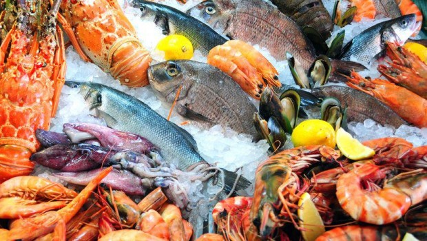  Repuntará la venta de pescados y mariscos gracias al inicio de la cuaresma