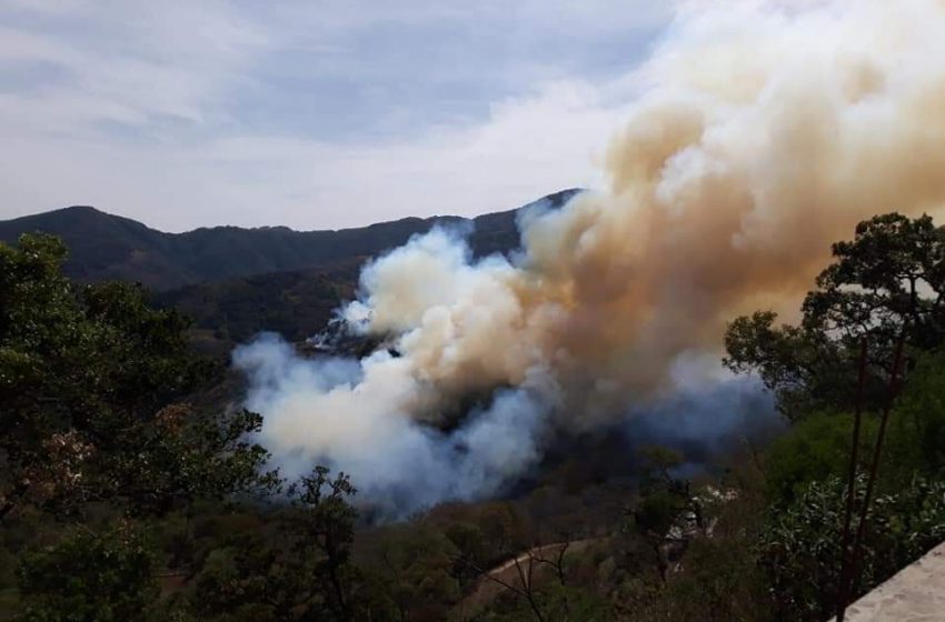  Incendio forestal en Pinal ha consumido 100 héctareas; 30 familias fueron evacuadas