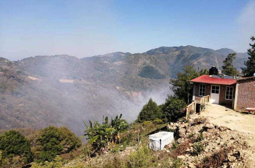  Fueron setenta las hectáreas afectadas por incendio en Pinal de Amoles