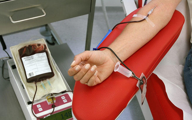  Pese a cercanía con Hospital General, Centro Estatal de Transfusión Sanguínea es seguro