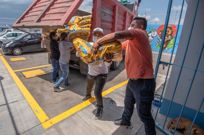  Reciben donación de alimento para perros y gatos en CAAM de El Marqués