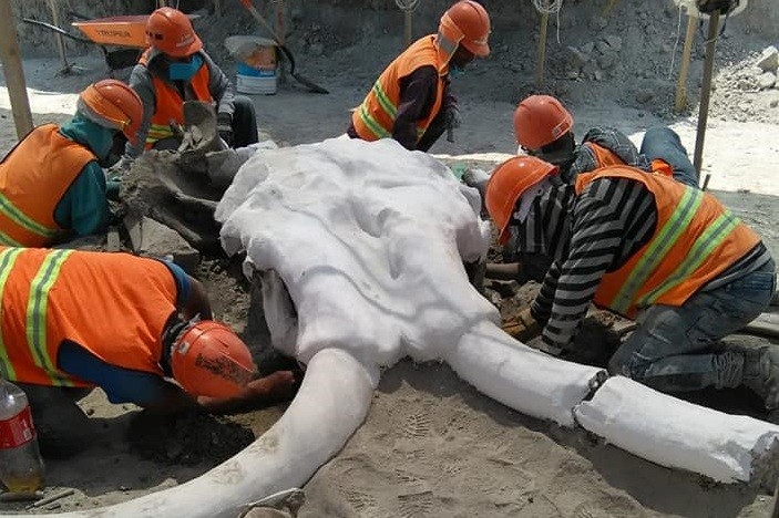  Tras hallazgo de mamuts, arqueólogos piden proteger zona de Santa Lucía