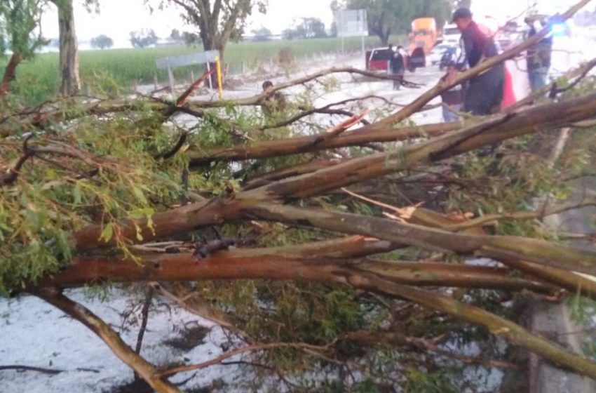  Entregará Colón 250 mil pesos a familias afectadas por la lluvia