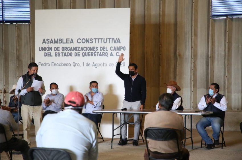  Crean nueva unión productores agropecuarios de Querétaro