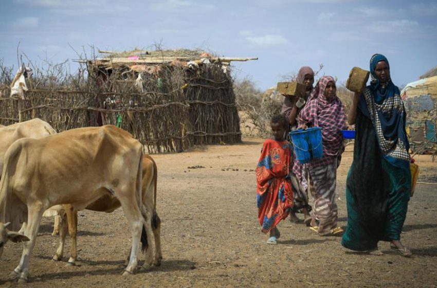  Miles de personas están en riesgo de hambruna: ONU
