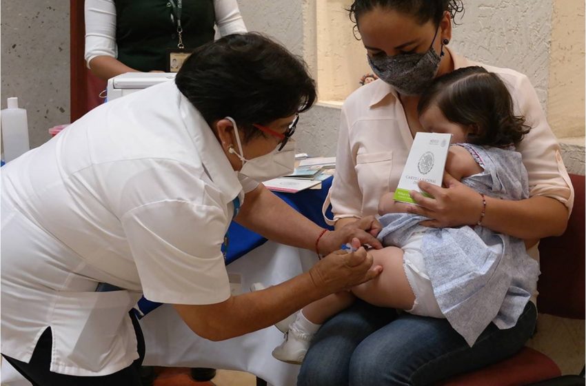  Vacunación contra la influenza avanza un 27.95% en Querétaro