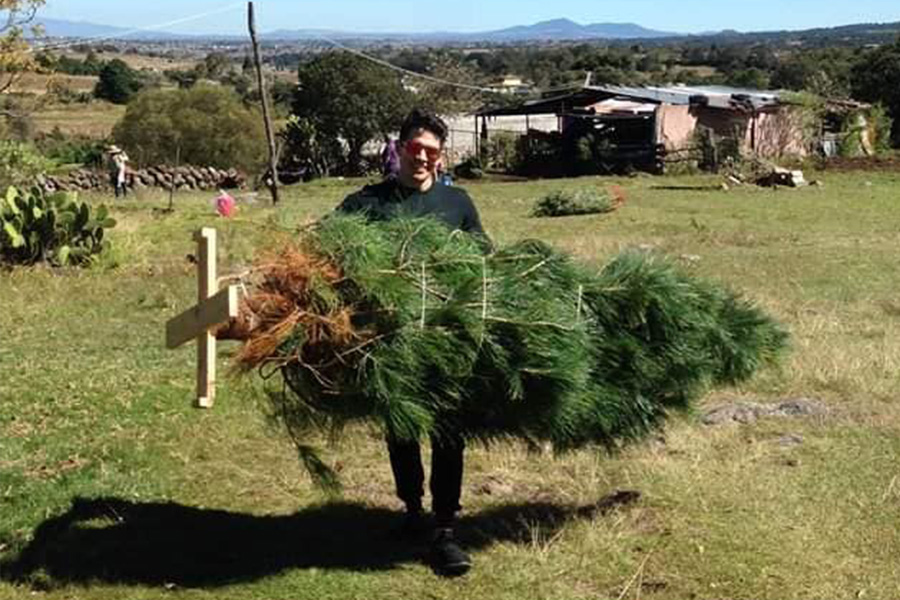 Árboles de navidad de Amealco, negocio que prevalece pese a COVID – Códice  Informativo – Historias basadas en datos