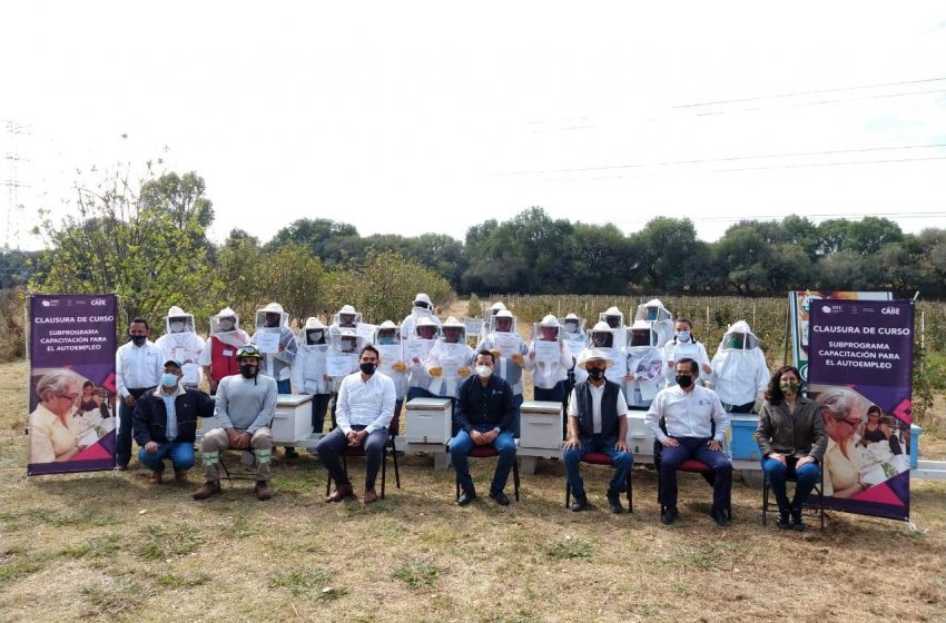  Capacitan a sanjuanenses en apicultura para fomentar el autoempleo