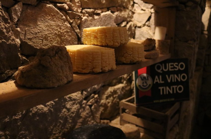  Conoce quesos queretanos en el Gastrofest Caminos de Querétaro
