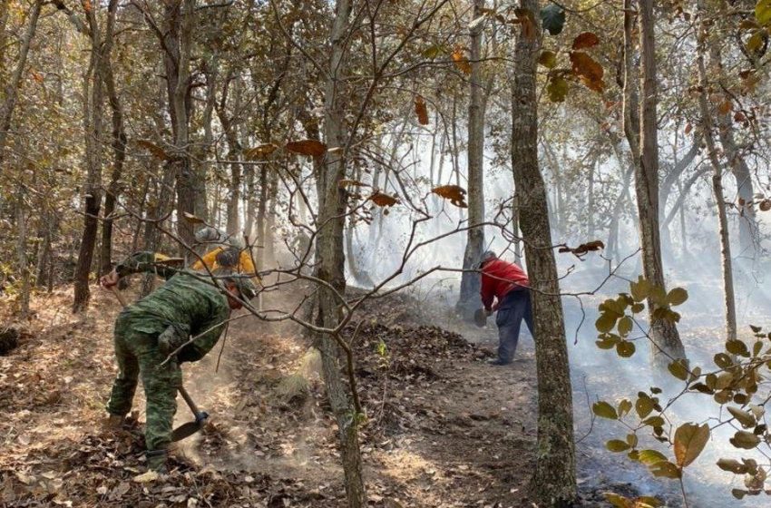  Continúan labores para sofocar incendio en zona cerril en Huimilpan