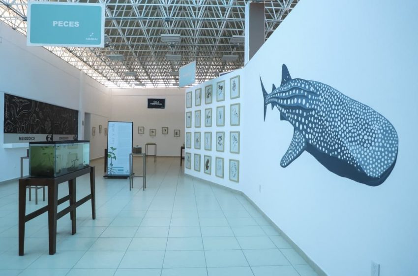  Museo de Ciencias “Ximhai” de la UAQ abre cuatro nuevas salas de exhibición