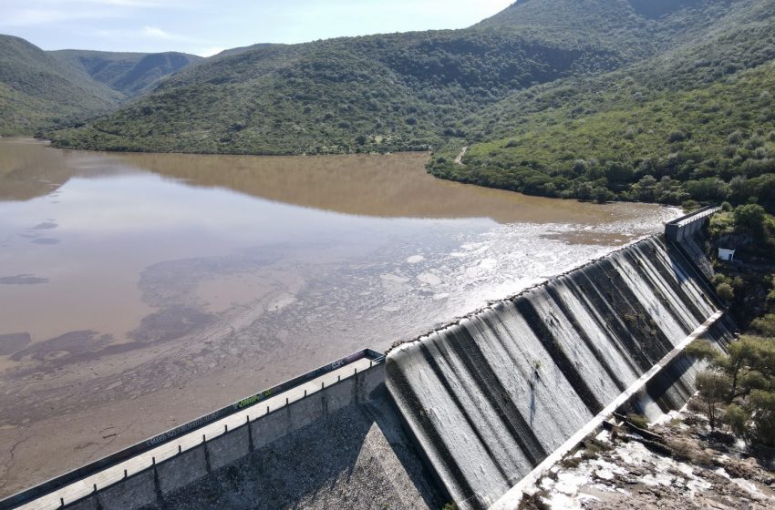  Sequía azota a productores de Querétaro: Kuri