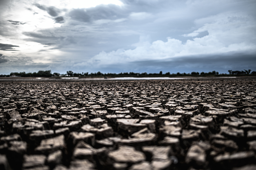  Sequía extrema: una amenaza más para la estabilidad económica de México