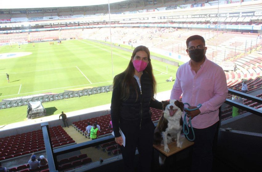  Inaugura Querétaro Zona Pet Friendly en Estadio Corregidora