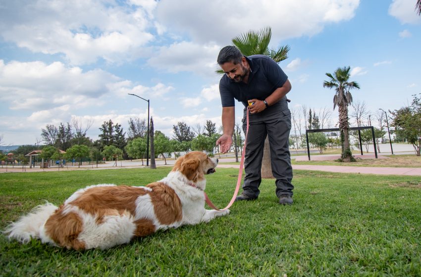  CAAM de El Marqués iniciará programa de adiestramiento canino