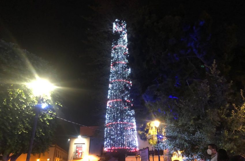  Encienden las luces navideñas en el Árbol de la Amistad y Nacimiento Monumental