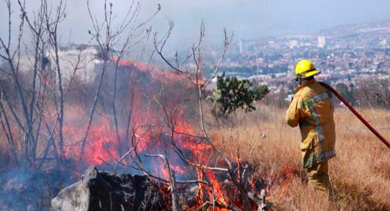  Querétaro tiene alto riesgo de incendios forestales