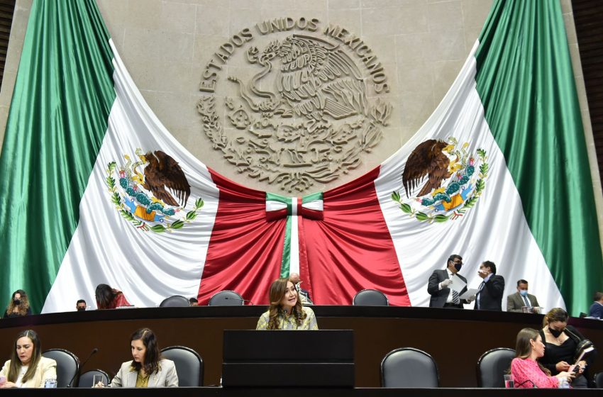  Aprueban iniciativa en favor de la salud de la infancia y adolescencia