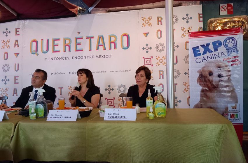  Alistan Expo Canina Querétaro
