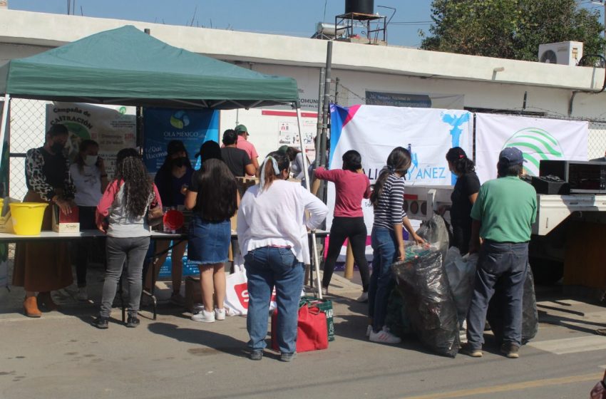  Reciclatón escolar y acopio de material reciclable en El Carrizo