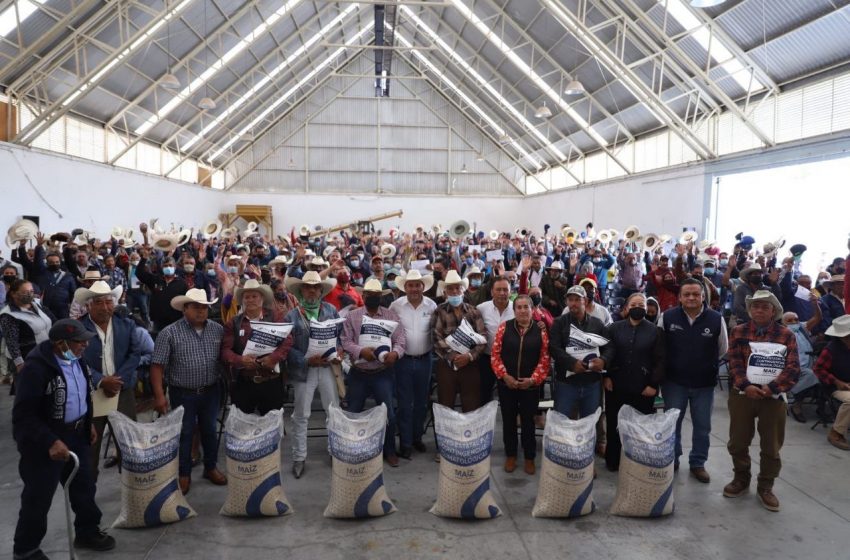  Entrega Sedea complemento de maíz en El Marqués