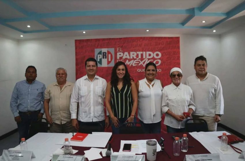  Militantes elegirán nuevas dirigencias municipales del PRI: Abigail Arredondo