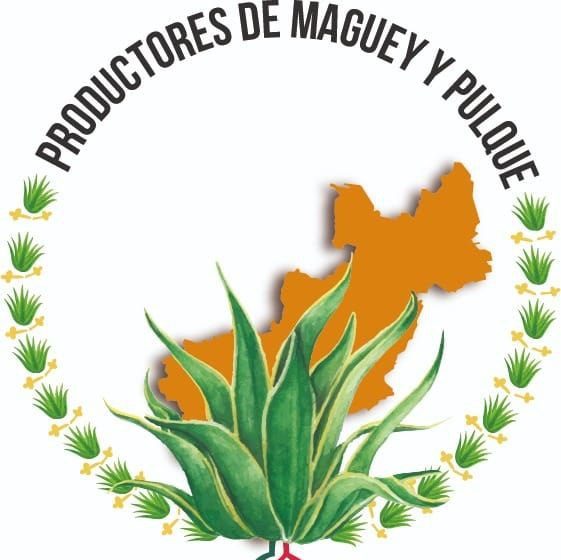 En Querétaro, maguey, aguamiel y pulque, al alza