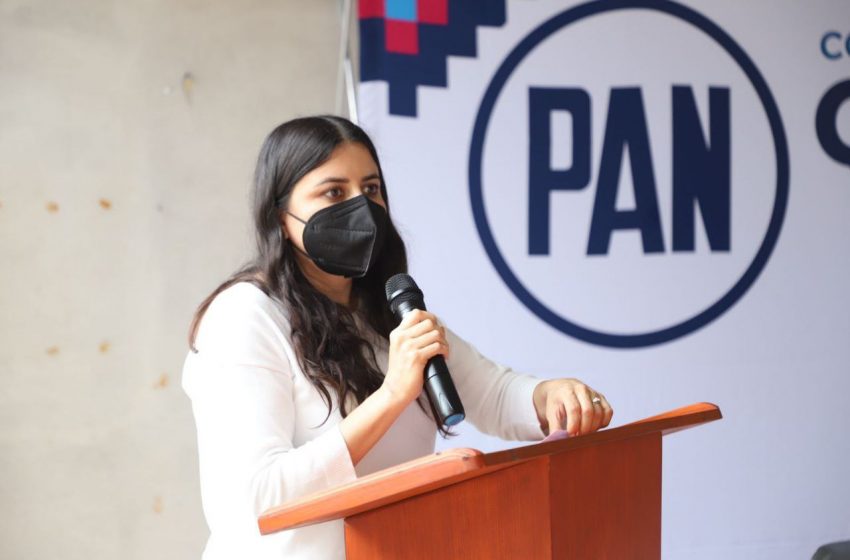  Eliminación de Fondos Federales dejó en la lona a municipios con vocación minera: PAN