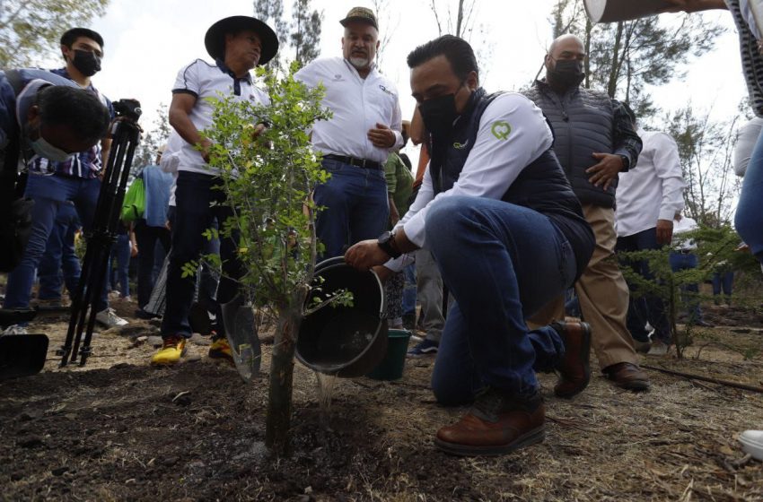  Acompaña Luis Nava arranque de la Temporada de Reforestación 2022