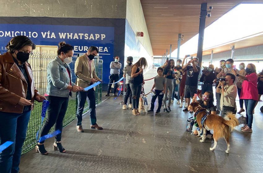  Plaza Antea inaugura zona especial para perritos