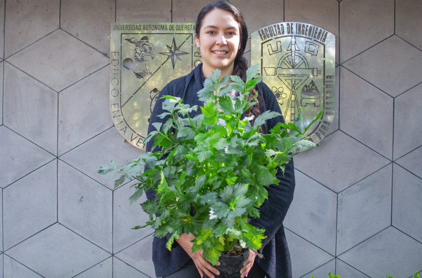  Estudiante de la UAQ realiza proyecto para el mejoramiento de las plantas