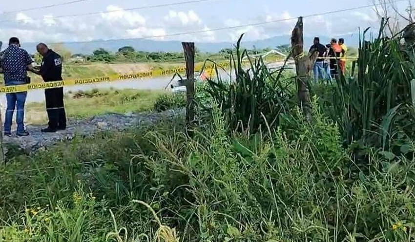  Encuentran cadáver siendo devorado por cocodrilos en Puerto Vallarta