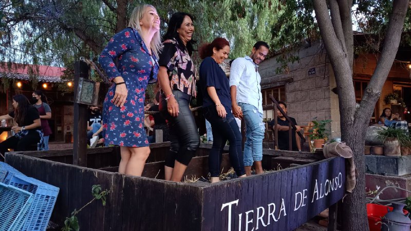  “Vendimiando Estrellas”: Vino, queso y música bajo el manto de la noche