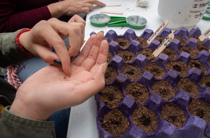  Municipio de El Marqués promueve huertos ecológicos