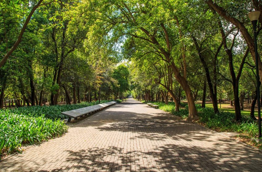  Bosque de Chapultepec es premiado en el Congreso Mundial De Parques Urbanos 2022