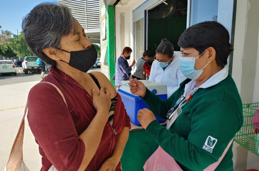  Invita IMSS Querétaro a adultos mayores a vacunarse contra influenza estacional