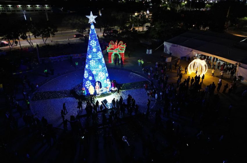  Encienden árbol navideño en Corregidora