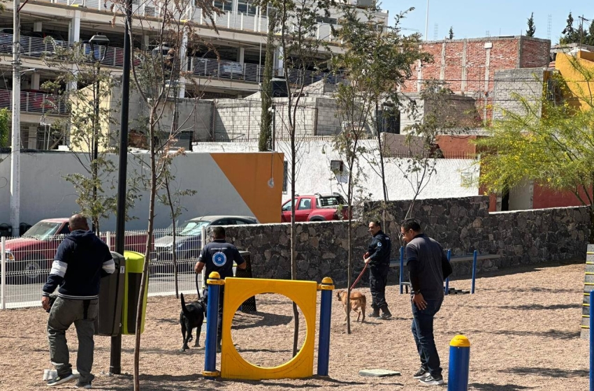  Municipio de Querétaro ha invertido más de 100 mdp en áreas verdes