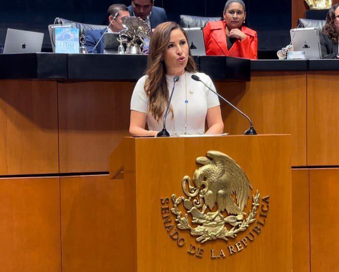 MORENA intenta acabar con las instituciones: Rojas Loreto