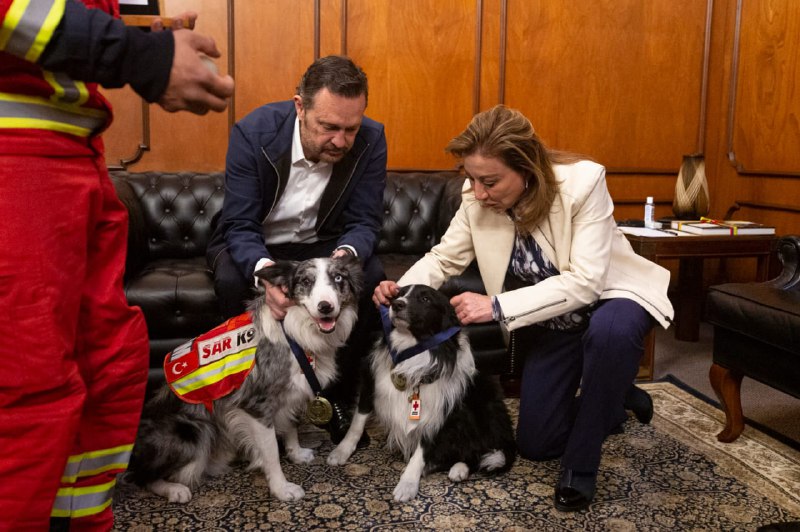  Kuri recibe a perritos rescatistas en Palacio de Gobierno