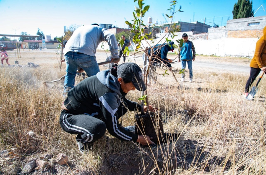  Arranca primera actividad de reforestación en el municipio de El Marqués