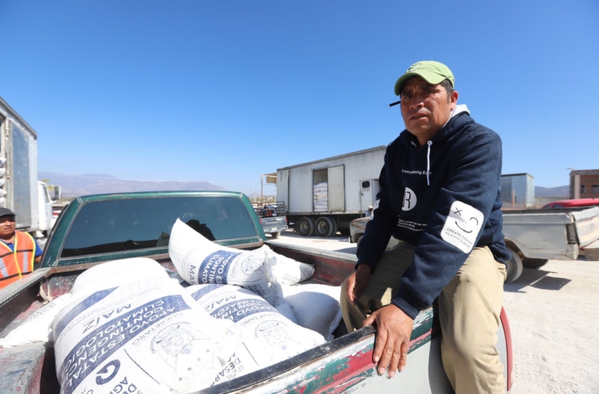  Entrega Sedea 28 toneladas de maíz a productores de Tolimán