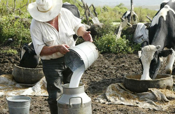  Sector lechero en México tiene varios retos por afrontar