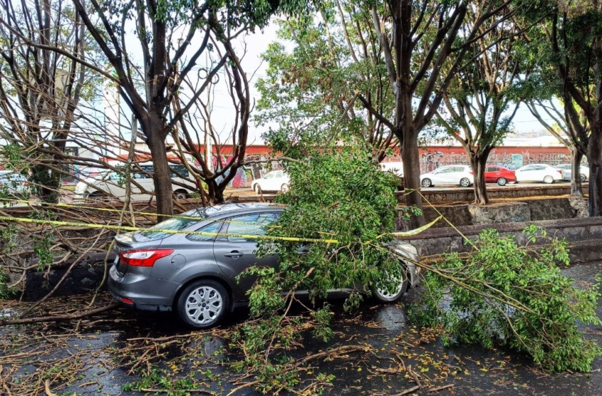  Lluvias de ayer dejan árbol colapsado sobre un auto y agua al interior de dos viviendas
