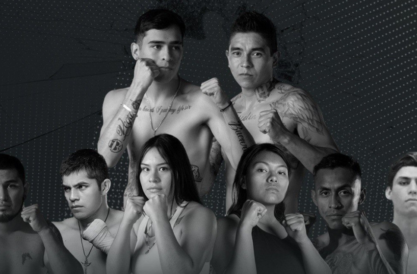  “Noche de Box” de la Anáhuac busca revitalizar el deporte en Querétaro