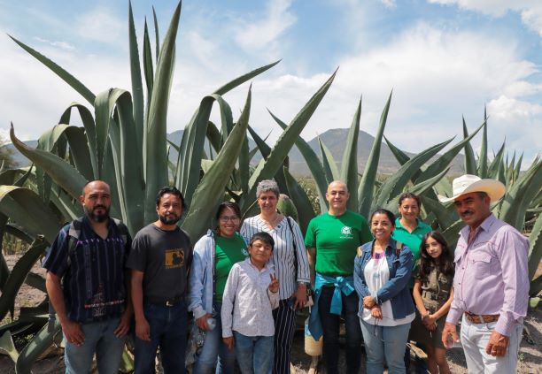  UAQ apoya al control de plagas en Boyé, Cadereyta